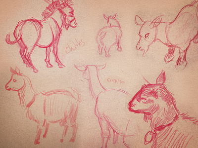 Live animals sketched at an art reception alpaca animals art drawing gallery goats pencil sketch sketches zebra