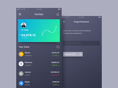 Crypto Wallet App Concept