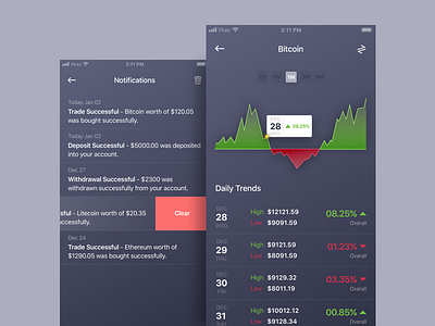 Crypto Wallet App Concept #2