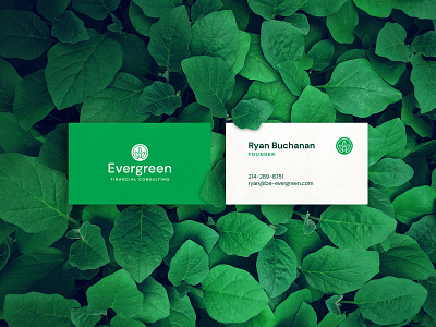 Evergreen Business Cards branding business cards graphic design logo