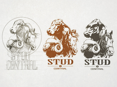 Stud Central draft 2 branding cattle emblem farming genetics identity livestock logo stud