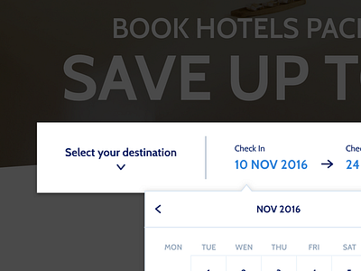 Date Picker - Booking Website date picker design hotels ui ux