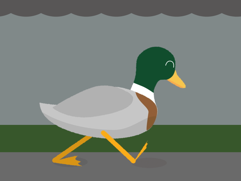 It's Lovely Weather for Ducks