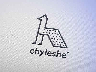Chyleshe branding corporate design iconography identity logo