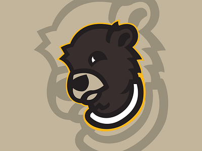 Boston Bruins Winter Classic Logo (Secondary)