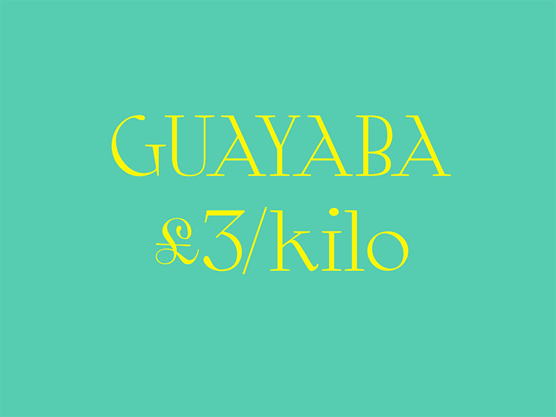 Guayabas type typeface typography variable