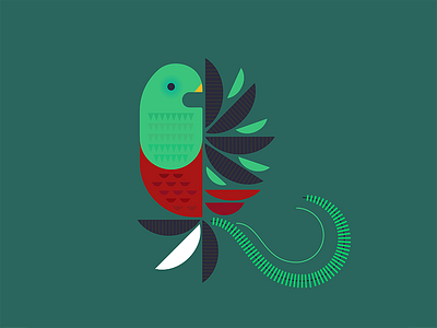Q is for Quetzal lettering q quetzal type