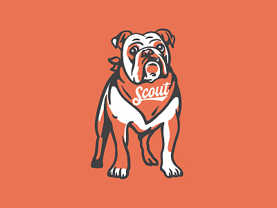 Scout Bulldog branding bulldog design illustration lettering logo mascot scout type