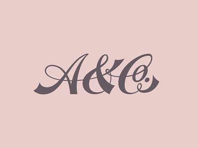 A&Co branding chicago design lettering logo script type typography