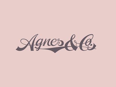 Agnes & Co script branding decor design lettering logo script store type typography vintage