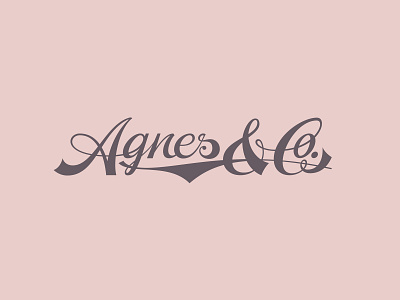 Agnes & Co script