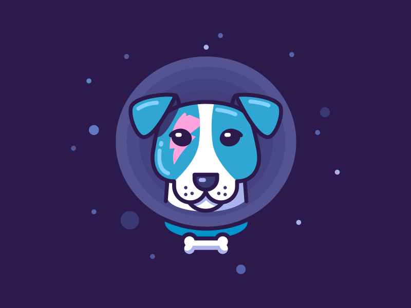 Laika Stardog star hero science animal astro blue portrait dog space laika