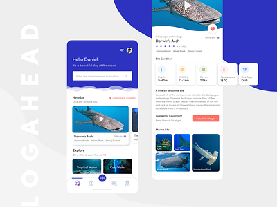 Logahead Diving App animation app clean colors design diving interface ios iphone mobile modern redesign scuba stats travel ui ux