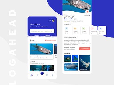 Logahead Diving App