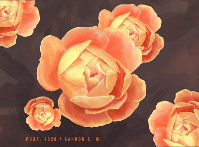Rose 2020 art artist design illustration picture procreate rose