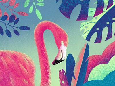Flamingo 2020 art artist creative design dribbble flamingo illustration picture procreate