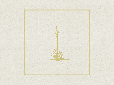 The Mild Mild West album album art desert design illustration music succulent texture west