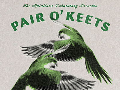 Pair O' Keets austin birds brand branding clothing design howlerbrothers parakeet texas texture typeography