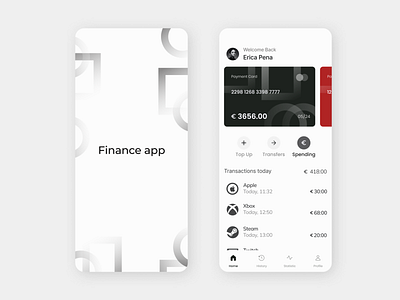 Mobile app for financial accounting