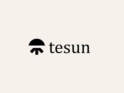 tesun- an abstract mark for any startup.