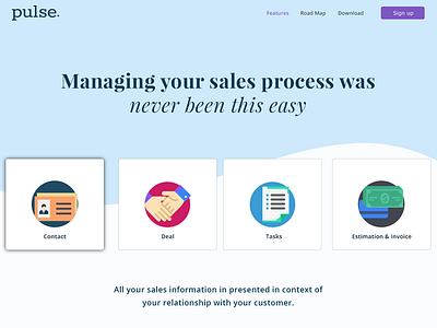 Pulse CRM Website Design