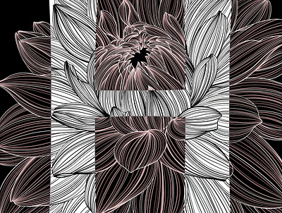 H is for Holly botanical digitalillustration floral illustration linework typography