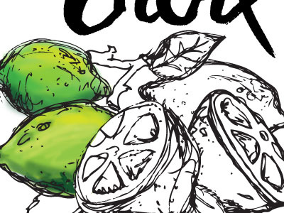 Limes WIP fruit illustration