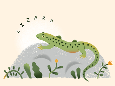 Lizard