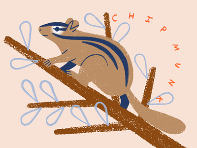 Chipmunk animal illustration nature procreate