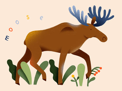 Moose illustration procreate