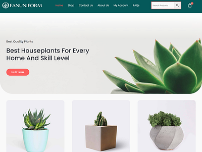 Wordpress ecommerce web design with elementor & woocommerce ecommerce website elementor elementor pro expert landing page online store web design woocommerce wordpress wordpress website