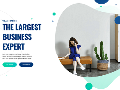 Wordpress agancy website design with elementor pro agency agency website ecommerce website elementor elementor pro expert landing page online store web design woocommerce wordpress wordpress expert