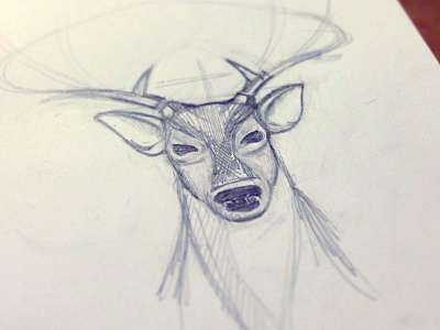 Sketch Deer deer graphics illustration logo pencil sketch
