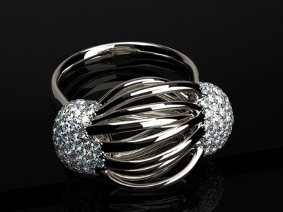 ring by rhino