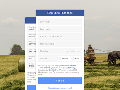 Facebook mobile signup concept 001 dailyui facebook flat form input mask signup