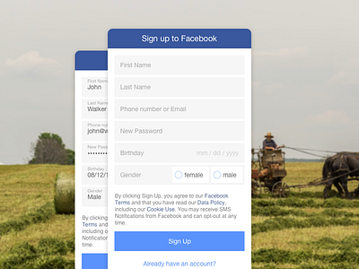 Facebook mobile signup concept