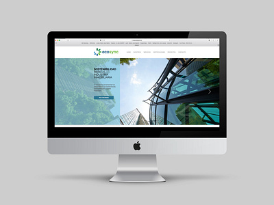 Ecosync Re-Branding and website design
