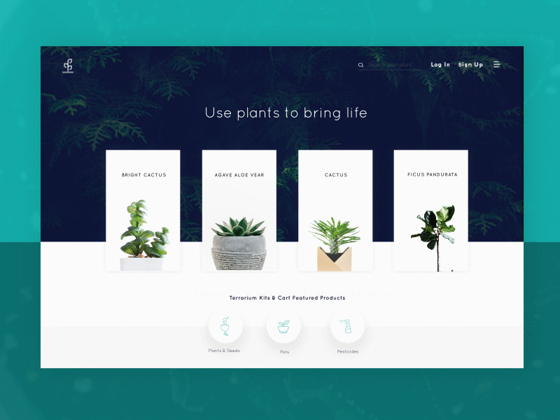 Product page for plant lover botany cart clean fresh green plant pots product ui ux