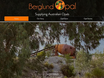 Website Design and Logo - Berglund Opal