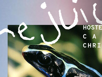 The Juice flyer found imagery frog gradient hand drawn juice natural type
