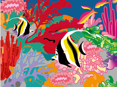 Fish colourful design fish illustration nature