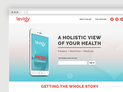 Levidy Landing Page landing page web design