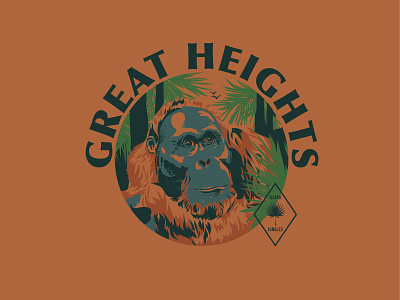 Great Heights apparel design illustration orangutan vector
