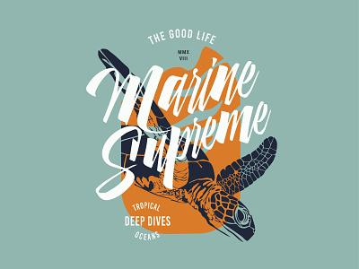 Marine Supreme apparel design illustration sea creature sea turtle vector