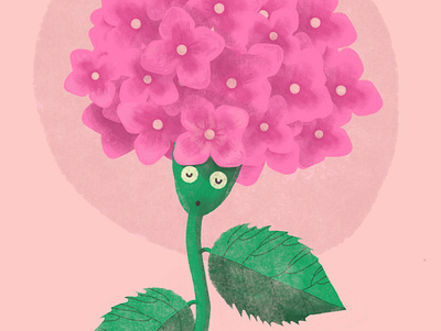 Hydrangea childrens book illustration plants