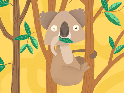 Koala animals childrens book illustration koala
