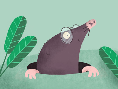 Mole animals childrens book illustration mole