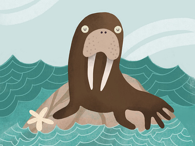 Walrus animals childrens book illustration walrus