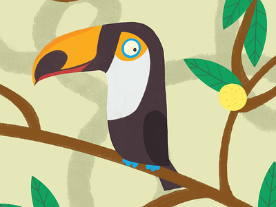 Toucan childrens book illustration kidlitart toucan
