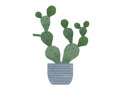 Prickly Pear illustration plants